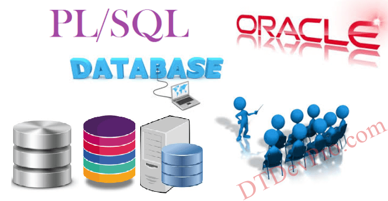 Kiểu dữ liệu (Data types) trong Oracle